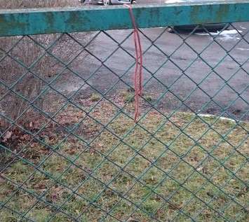 Strażnik miejski uratował mężczyznę - samobójcę	