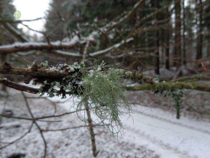 Coraz lepsze powietrze w Karkonoskim Parku Narodowym
