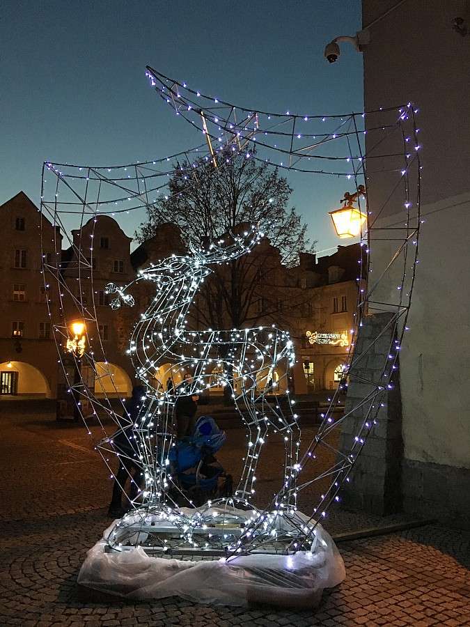 Już wiadomo, gdzie stanie Jelonek