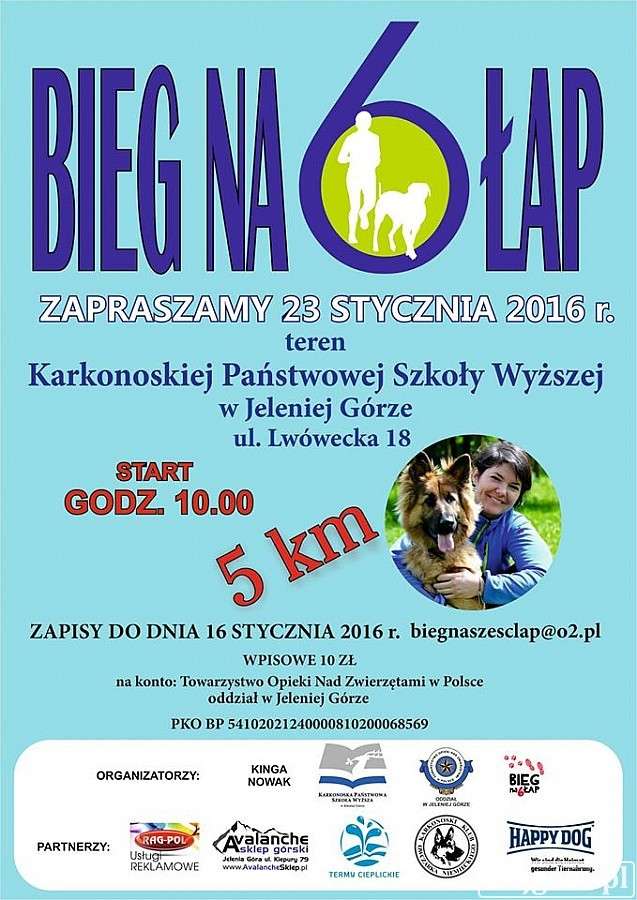  BIEG NA SZEŚĆ ŁAP JELENIA GÓRA 23.01.2016