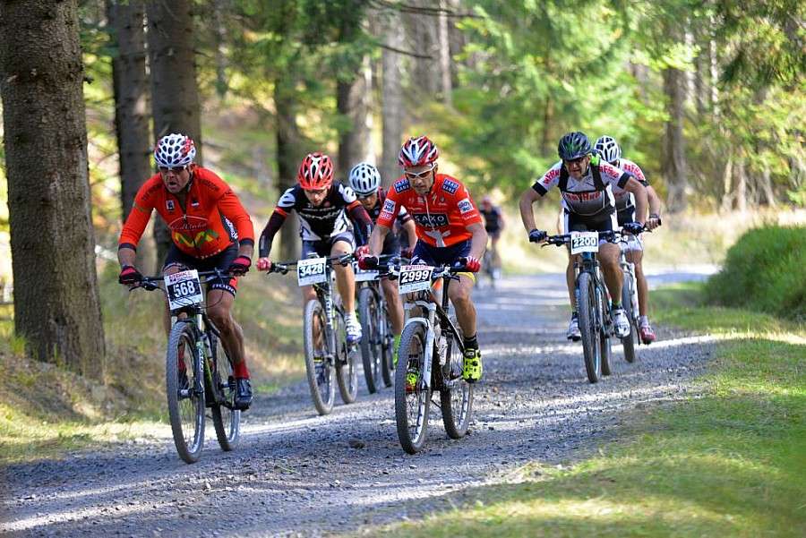 Aukcja 1 Nr startowego Bike Maraton 2016 na rzecz WOŚP