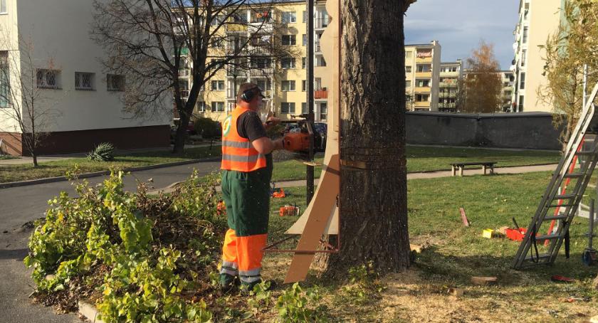 Do piątku powstanie nowa ozdoba miasta