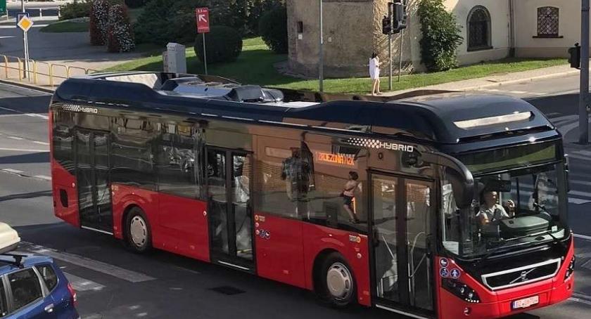 Trwają prace nad poprawą czystości w Jeleniej Górze
