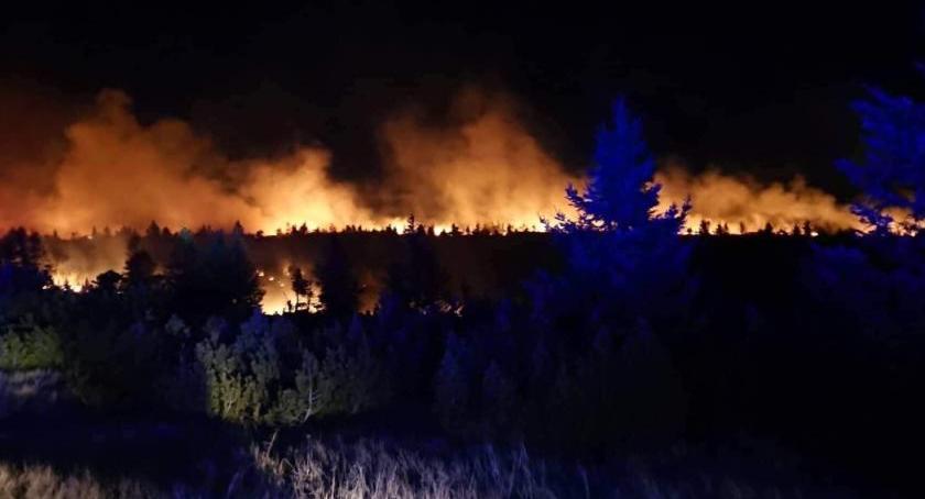 Olbrzymi pożar w Karkonoszach. W akcji gaśnicznej biorą udział czescy i polscy strażacy