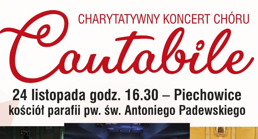 Chór Cantabile w Piechowicach.