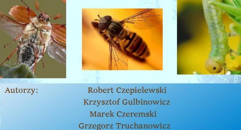 Świat w skali Makro - zaproszenie na wystawę w POK