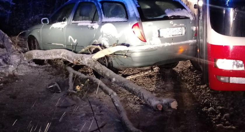 Samochód uderzył w drzewo leżące na drodze. Włącz Zello