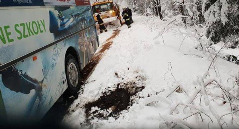 Drzewo na drodze. Autobus z dziećmi zatrzymał się nad skarpą.