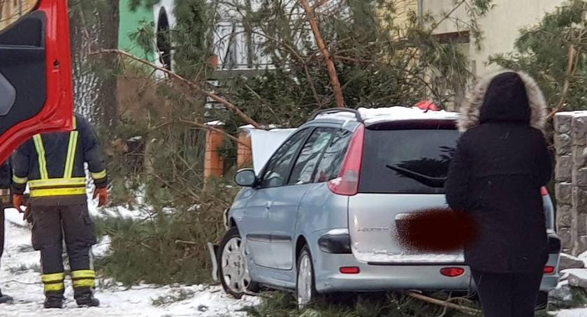 Peugeot uderzył w drzewo. Na szczęście nikogo nie było na chodniku.