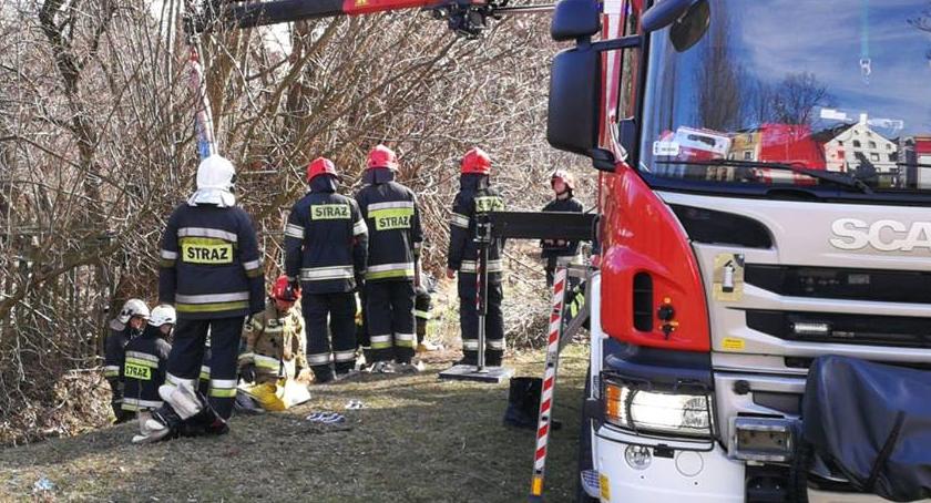 Krowa wpadła do rzeki. Wycieńczone zwierzę uratowali strażacy