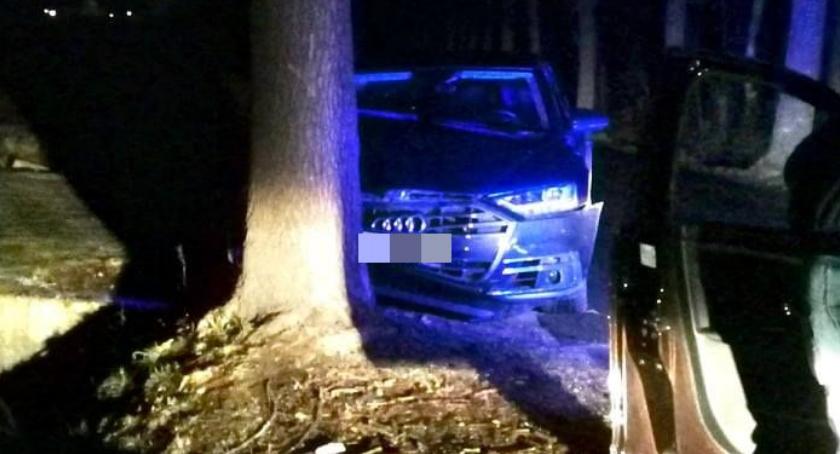 Próbował uniknąć zderzenia z sarną i uderzył w drzewo