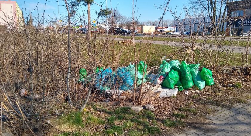 Mieszkańcy potrafią sortować śmieci