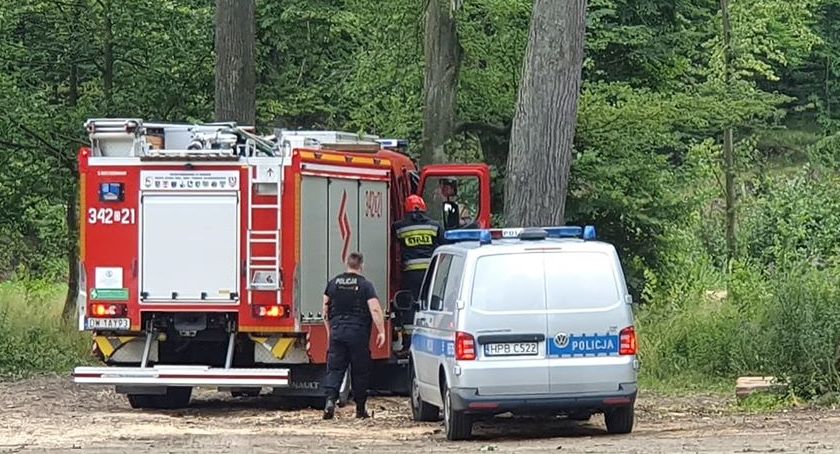 Przerażające odkrycie w Maciejowej. Znaleziono zwłoki wiszące na drzewie.