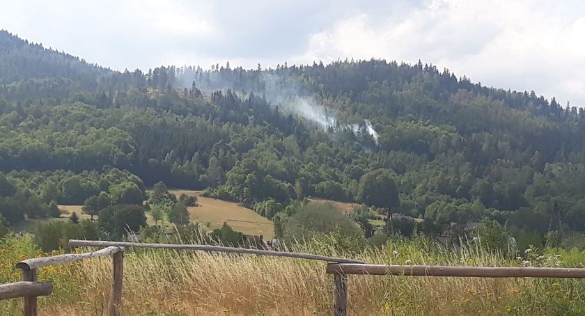 Pożar lasu w Miłkowie