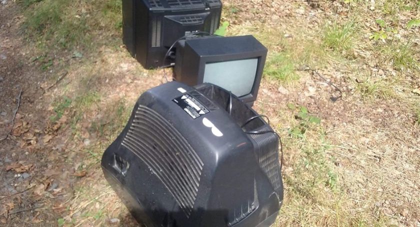 Telewizory w lesie