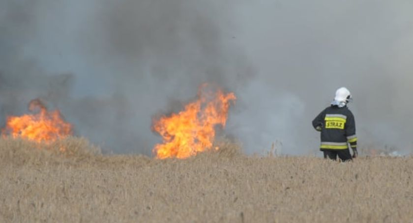 Ogromny pożar w okolicach Maciejowej