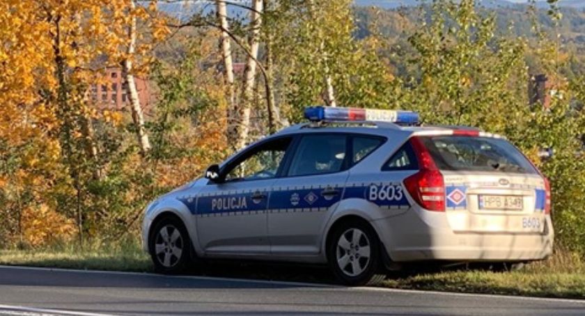 Sarny uciekały przed psami, wpadły pod samochód