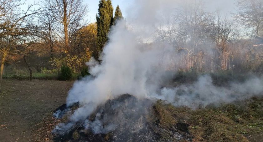 Za palenie odpadów roślinnych grozi mandat	