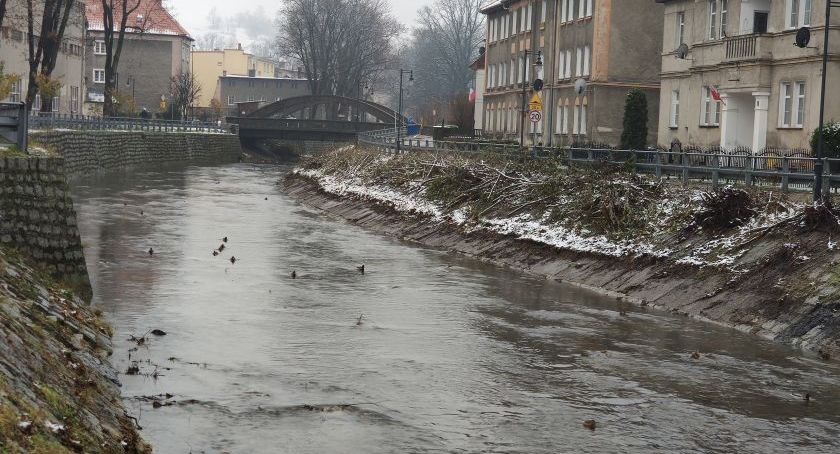 Sprzątają rzekę Bóbr w Kamiennej Górze