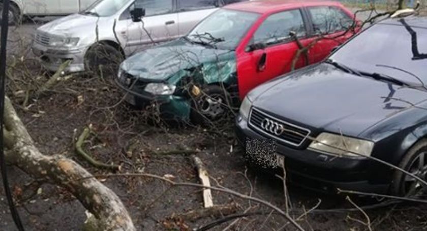 Mocno wieje. W Starej Kamienicy drzewo spadło na samochody
