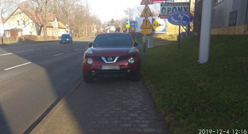 Mistrzowie parkowania 