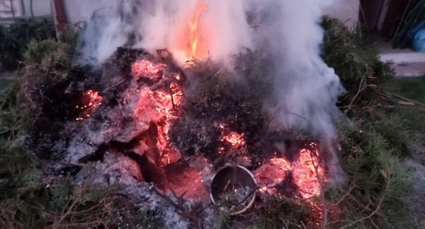 Spalał odpady na własnym podwórku. Dostał mandat.