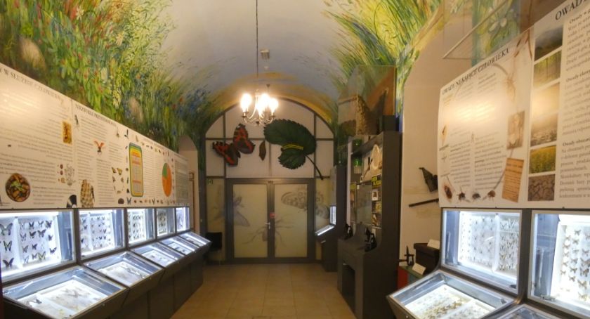 Nowe freski w Muzeum Przyrodniczym