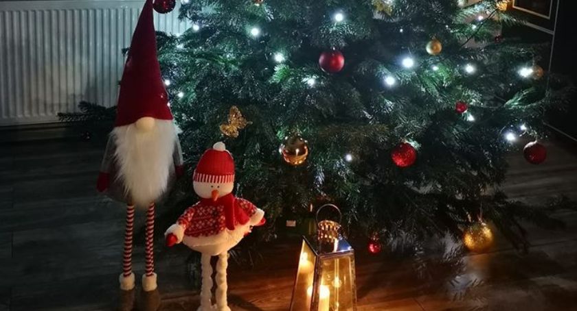 Piękne, świąteczne drzewka naszych czytelników 