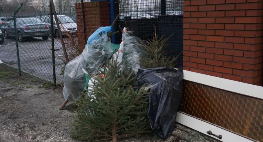 Nie wyrzucajmy choinek do pojemników na śmieci!