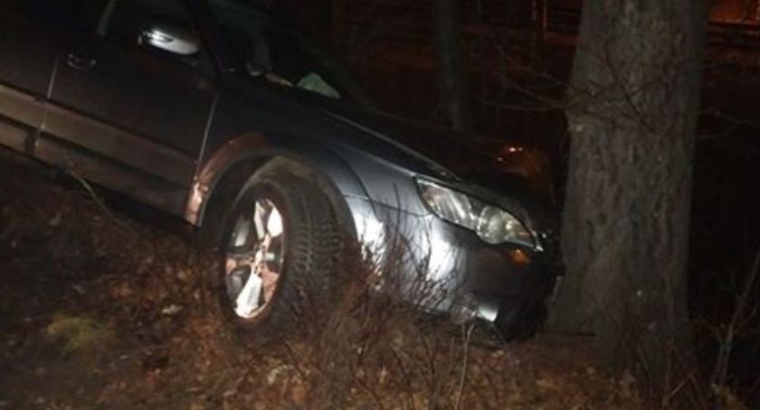 W Janowicach Wielkich auto wypadło z drogi