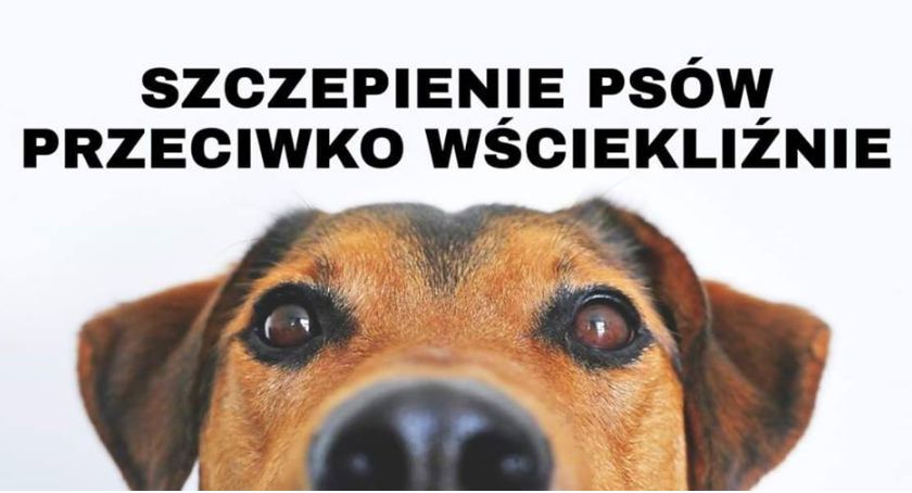 Pamiętajmy o szczepieniach 