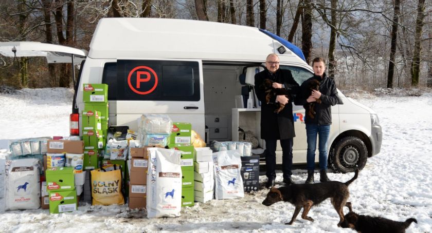Zwierzaki dostaną 500 kg karmy - co miesiąc!