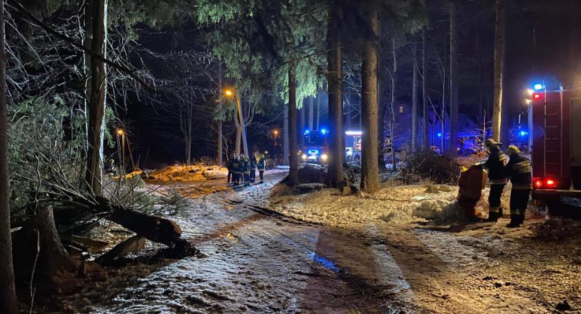 W nocy mocno wiało. Strażacy wyjeżdżali ponad 40 razy.