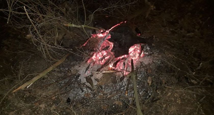  Spalał części samochodowe