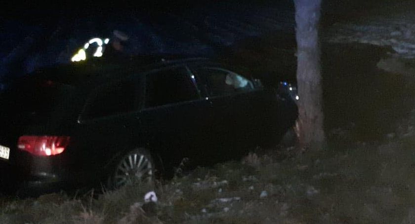 Audi wypadło z drogi. Kierowca oddalił się z miejsca zdarzenia.