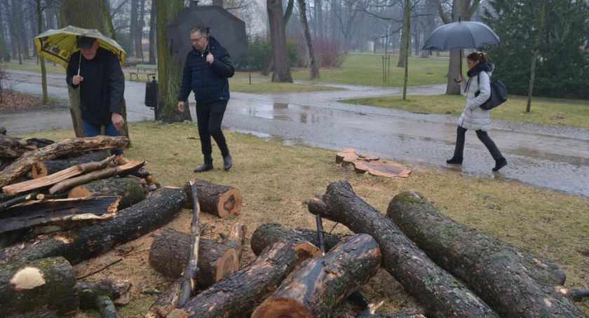 Po wichurach najbardziej ucierpiały parki i skwery