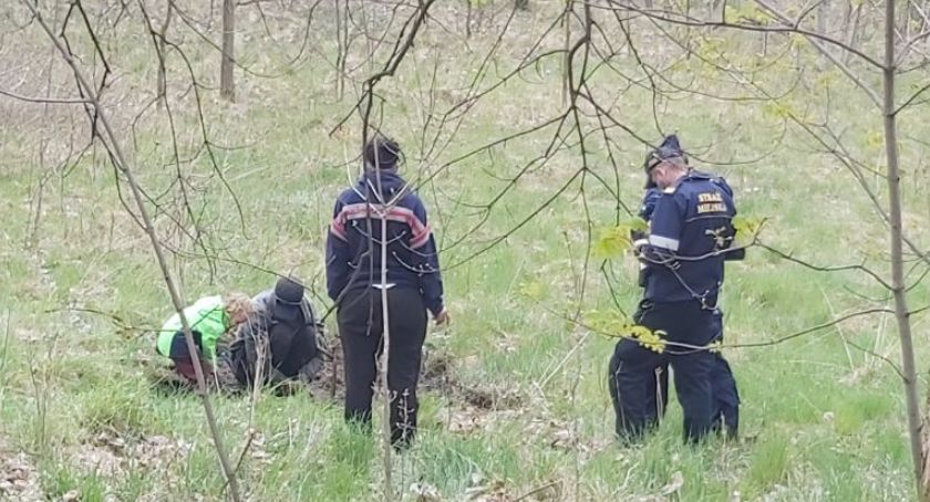 Pojechali z dzieckiem wypalać kable