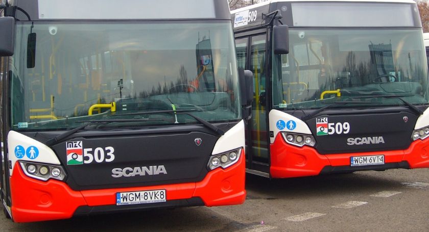 Scanie w Jeleniej Górze