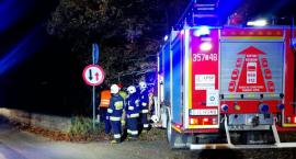 Śmierć na torach. Pociąg relacji Goerlitz - Jelenia Góra potracił mężczyznę.
