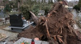 Pierwsze skutki nadal utrzymujących się porywistych wiatrów