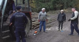 Wilk zagryzł psa i zaatakował ludzi