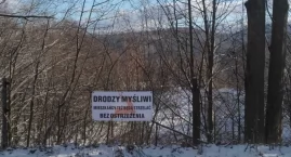 Mieszkańcy Szklarskiej Poręby wciąż pamiętają o zabitym jeleniu. 