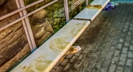 Zafajdany przystanek w Sobieszowie. Wstyd, smród i obrzydzenie