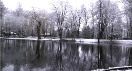 Re:Park Norweski o poranku