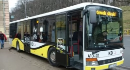 Koleje Dolnośłąskie przewoźnikiem autobusowym? Nowa inicjatywa na rzecz pasażerów.