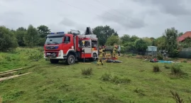 Koń walczył o życie w rzece. Na pomoc ruszyli strażacy.