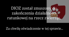 DIOZ informuje o zakończeniu działalności. Jest oświadczenie