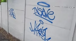Łobuzy ze sprayami szaleją pod osłoną nocy
