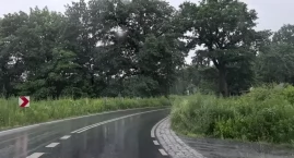 Niebezpiecznie na drogach powiatowych. Zarośnięte po&hellip;