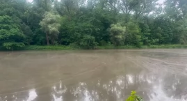 Martwe ryby, czarny muł i dramat na Bobrze. Co napra&hellip;